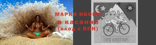 прущие грибы Абинск