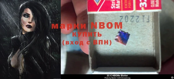 прущие грибы Абинск