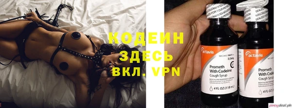прущие грибы Абинск