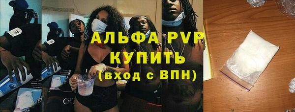 прущие грибы Абинск