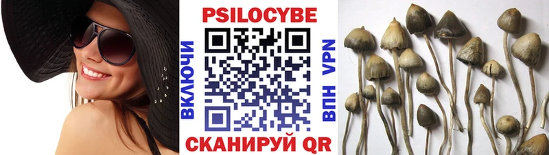 Галлюциногенные грибы GOLDEN TEACHER  Тавда 